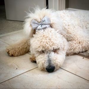 Meet your Posher, Sophia